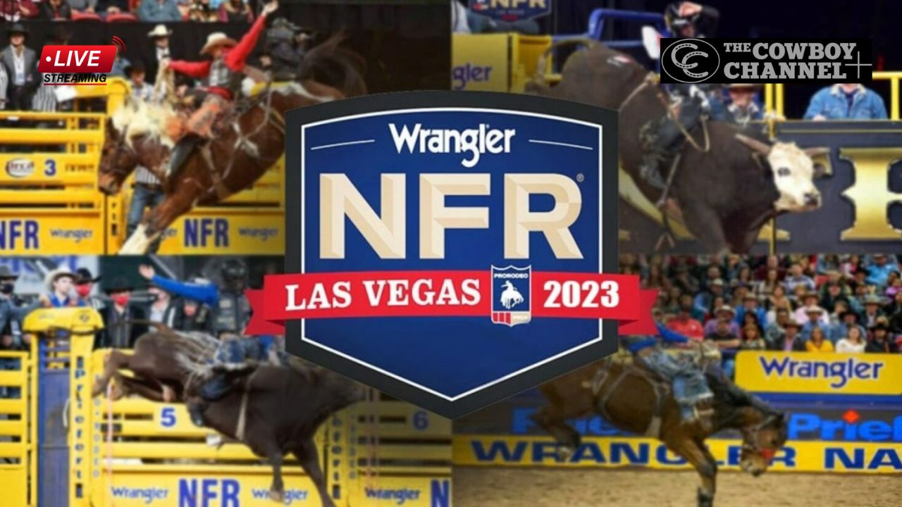 Watch 65th Wrangler National Finals Rodeo Live Stream